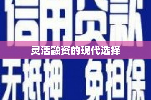 溆浦灵活融资的现代选择