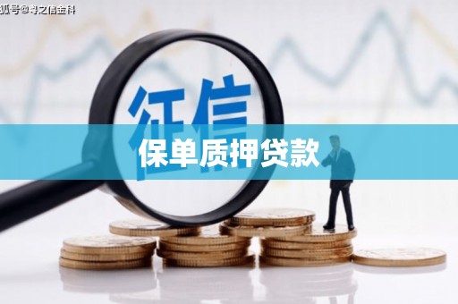 溆浦保单质押贷款