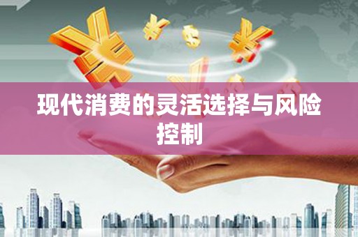 溆浦现代消费的灵活选择与风险控制