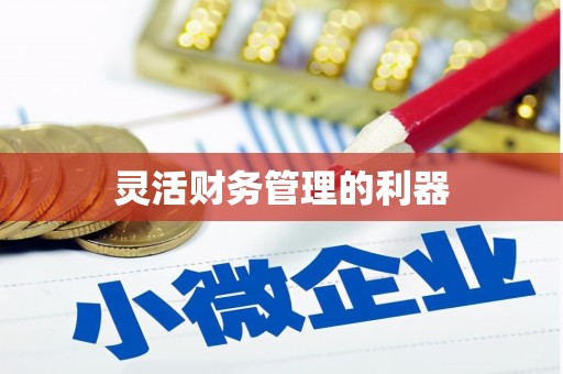溆浦灵活财务管理的利器