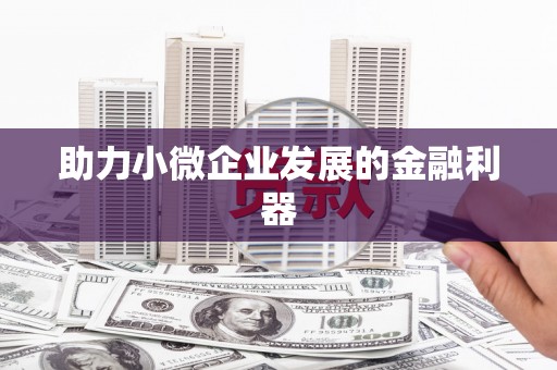 溆浦助力小微企业发展的金融利器