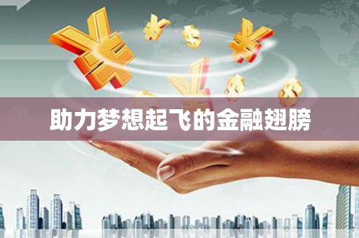 溆浦助力梦想起飞的金融翅膀