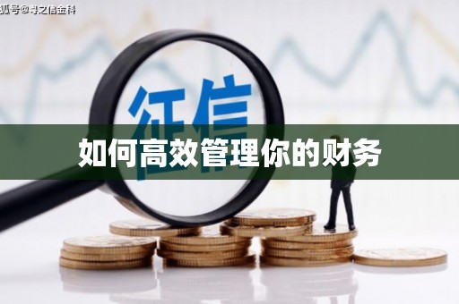 溆浦如何高效管理你的财务