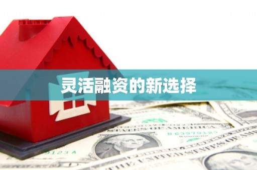 溆浦灵活融资的新选择
