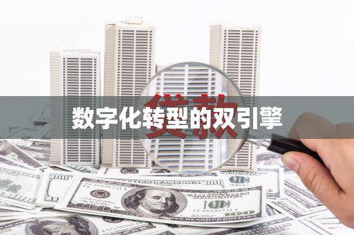 溆浦数字化转型的双引擎