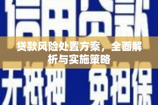 溆浦贷款风险处置方案，全面解析与实施策略