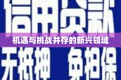 溆浦机遇与挑战并存的新兴领域