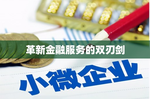 溆浦革新金融服务的双刃剑