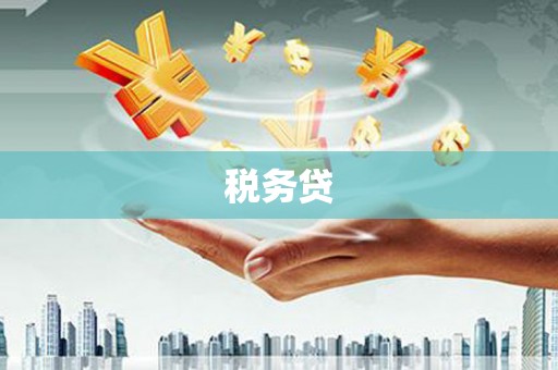 溆浦税务贷