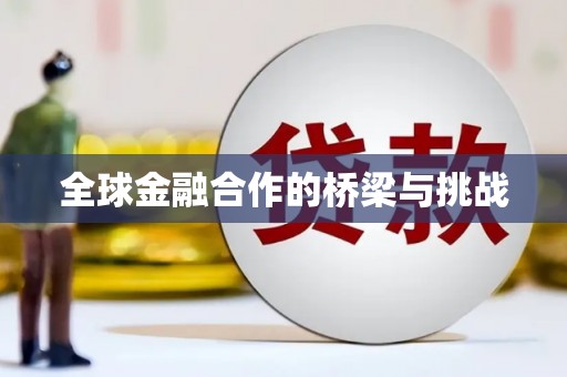 溆浦全球金融合作的桥梁与挑战