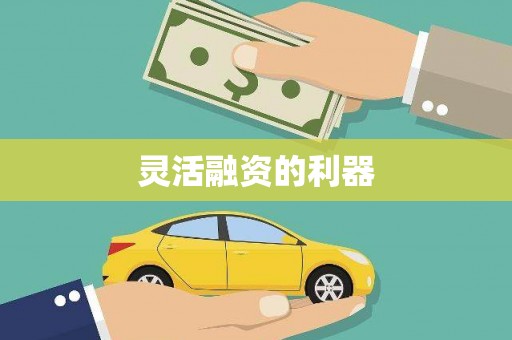 溆浦灵活融资的利器