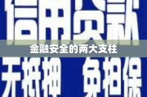 溆浦金融安全的两大支柱