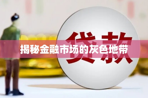 溆浦揭秘金融市场的灰色地带