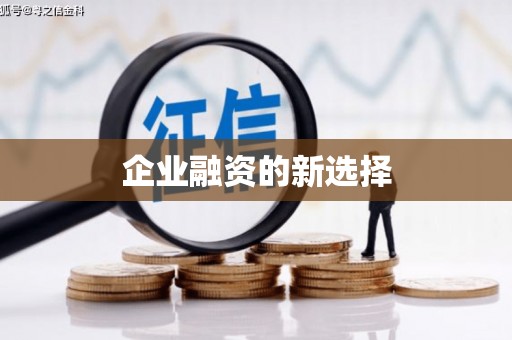 溆浦企业融资的新选择