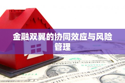 溆浦金融双翼的协同效应与风险管理