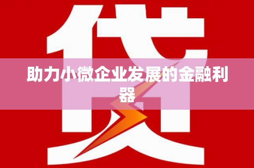 溆浦助力小微企业发展的金融利器