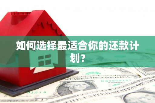 溆浦如何选择最适合你的还款计划？