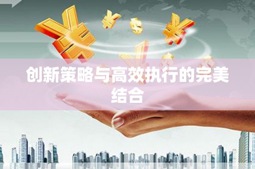 溆浦创新策略与高效执行的完美结合
