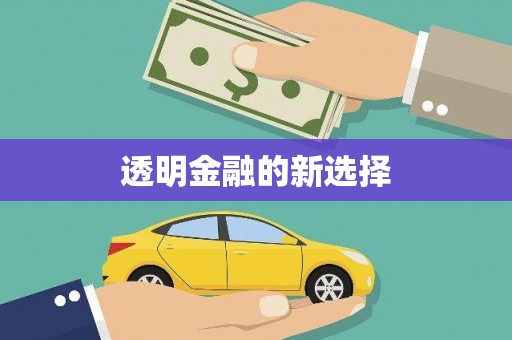 溆浦透明金融的新选择