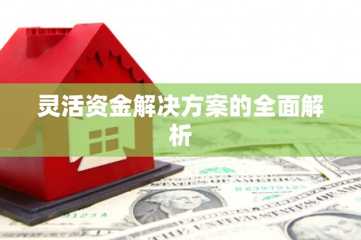 溆浦灵活资金解决方案的全面解析
