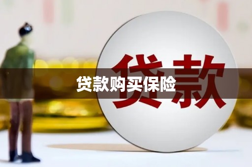溆浦贷款购买保险