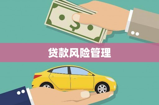 溆浦贷款风险管理