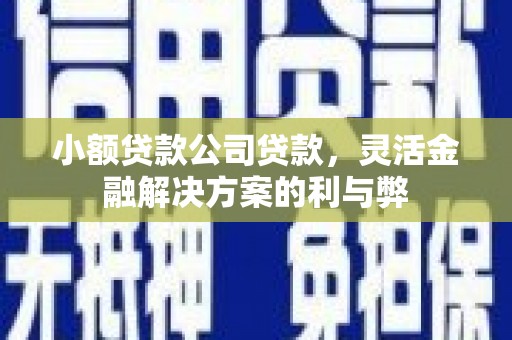 溆浦小额贷款公司贷款，灵活金融解决方案的利与弊