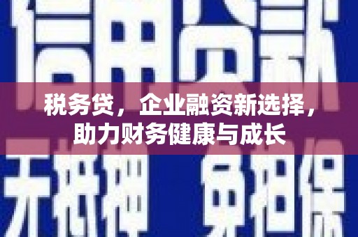 溆浦税务贷，企业融资新选择，助力财务健康与成长