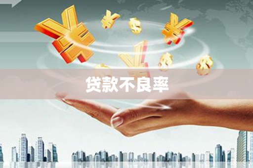 溆浦贷款不良率