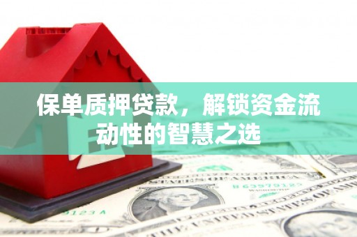 溆浦保单质押贷款，解锁资金流动性的智慧之选