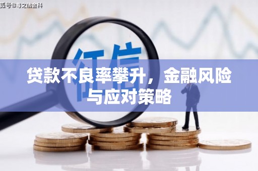 溆浦贷款不良率攀升，金融风险与应对策略