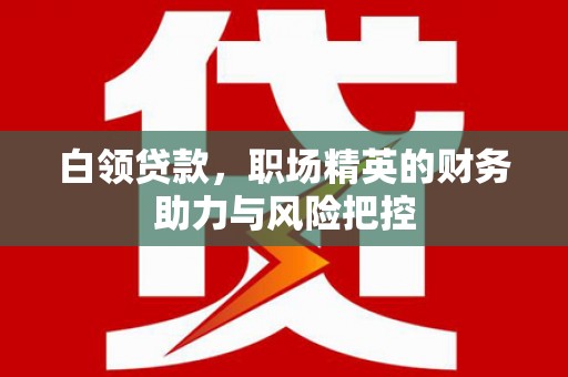 溆浦白领贷款，职场精英的财务助力与风险把控