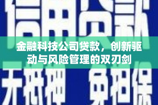 溆浦金融科技公司贷款，创新驱动与风险管理的双刃剑