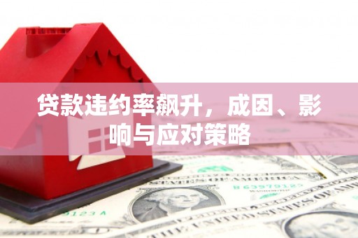 溆浦贷款违约率飙升，成因、影响与应对策略