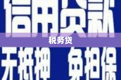 溆浦税务贷
